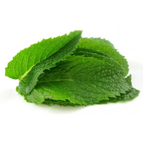 Spearmint