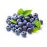 Blaubeere süss