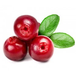 Cranberry