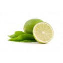 Limette