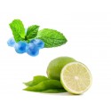 Limette/Mint